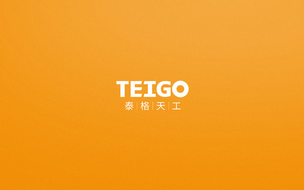 泰格天工品牌logo設計