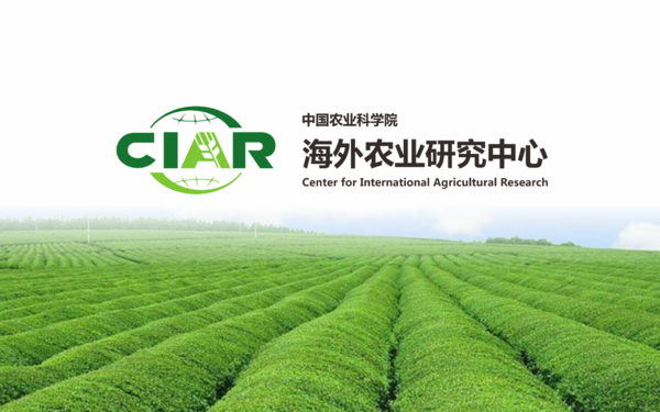 中国农业科学院海外农业研究中心-CIAR
