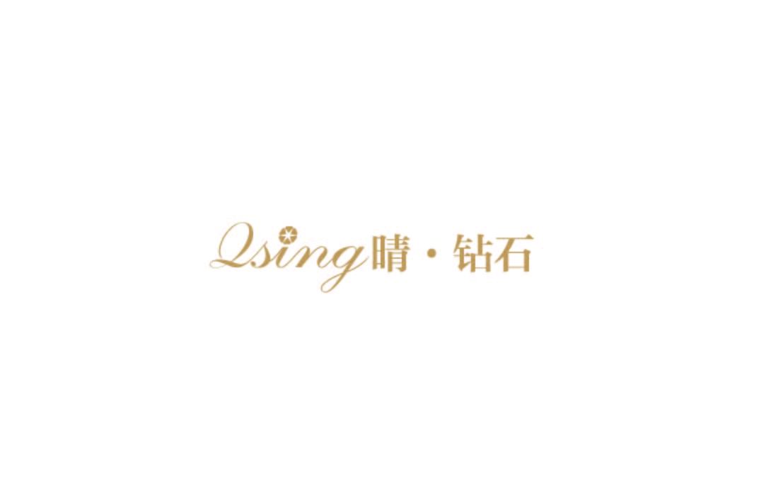 QSING晴·钻石 标志设计图0