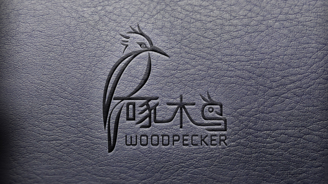 啄木鸟创意品牌设计图2