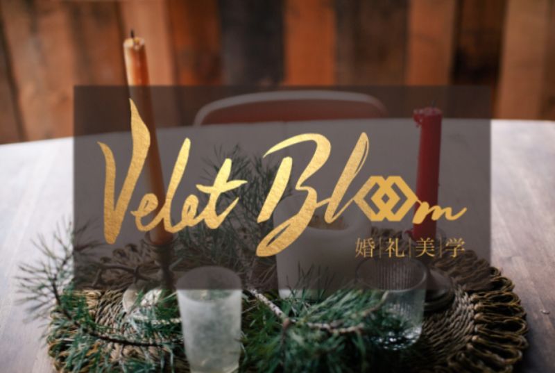 VeletBloom logo设计图4