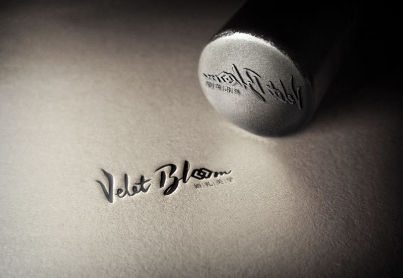 VeletBloom logo设计图0