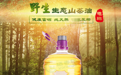 龙株山茶油的网页设计
