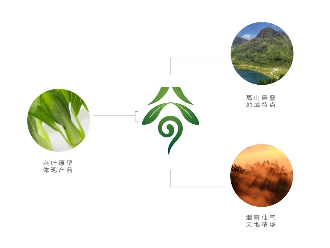 圣仙谷有机蔬菜logo图9