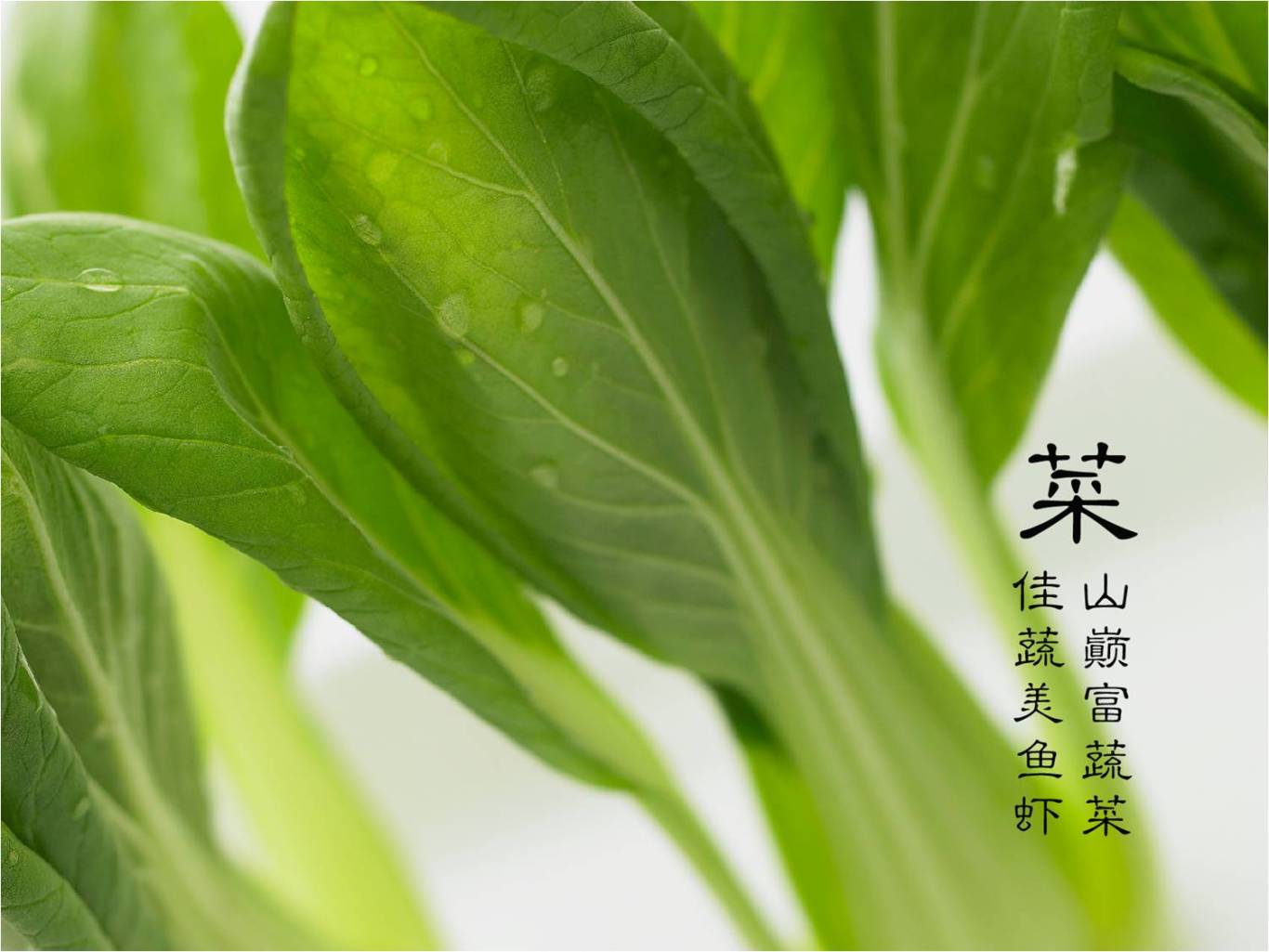 圣仙谷有机蔬菜logo图3