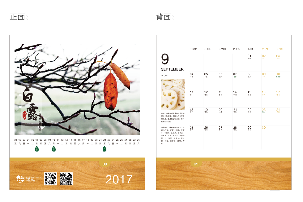 绿瓢虫2017台历设计方案图10