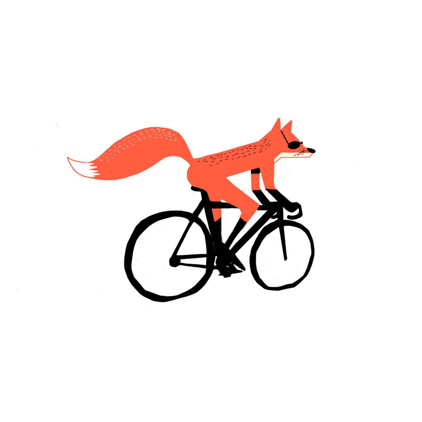 Mr. Fox图3