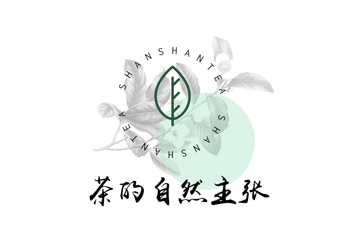 Shan Shan tea branding&packaging design图1