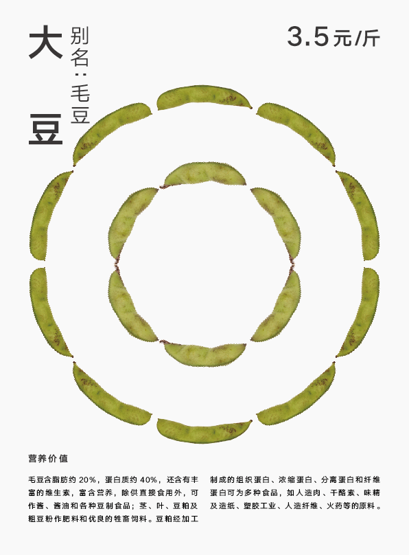 【果蔬系列传单】系列传单海报设计图4