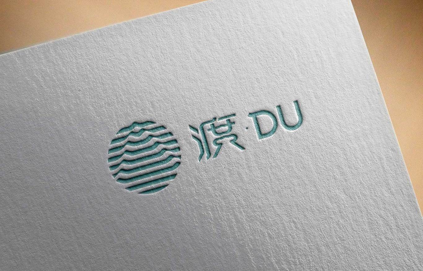 DU-渡  足浴按摩logo设计   要求 安静沉稳图2