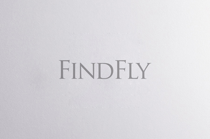 FINDFLY品牌标识设计和VIS设计图5