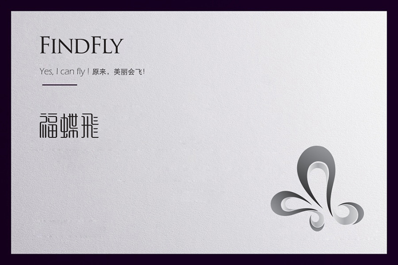 FINDFLY品牌标识设计和VIS设计图0