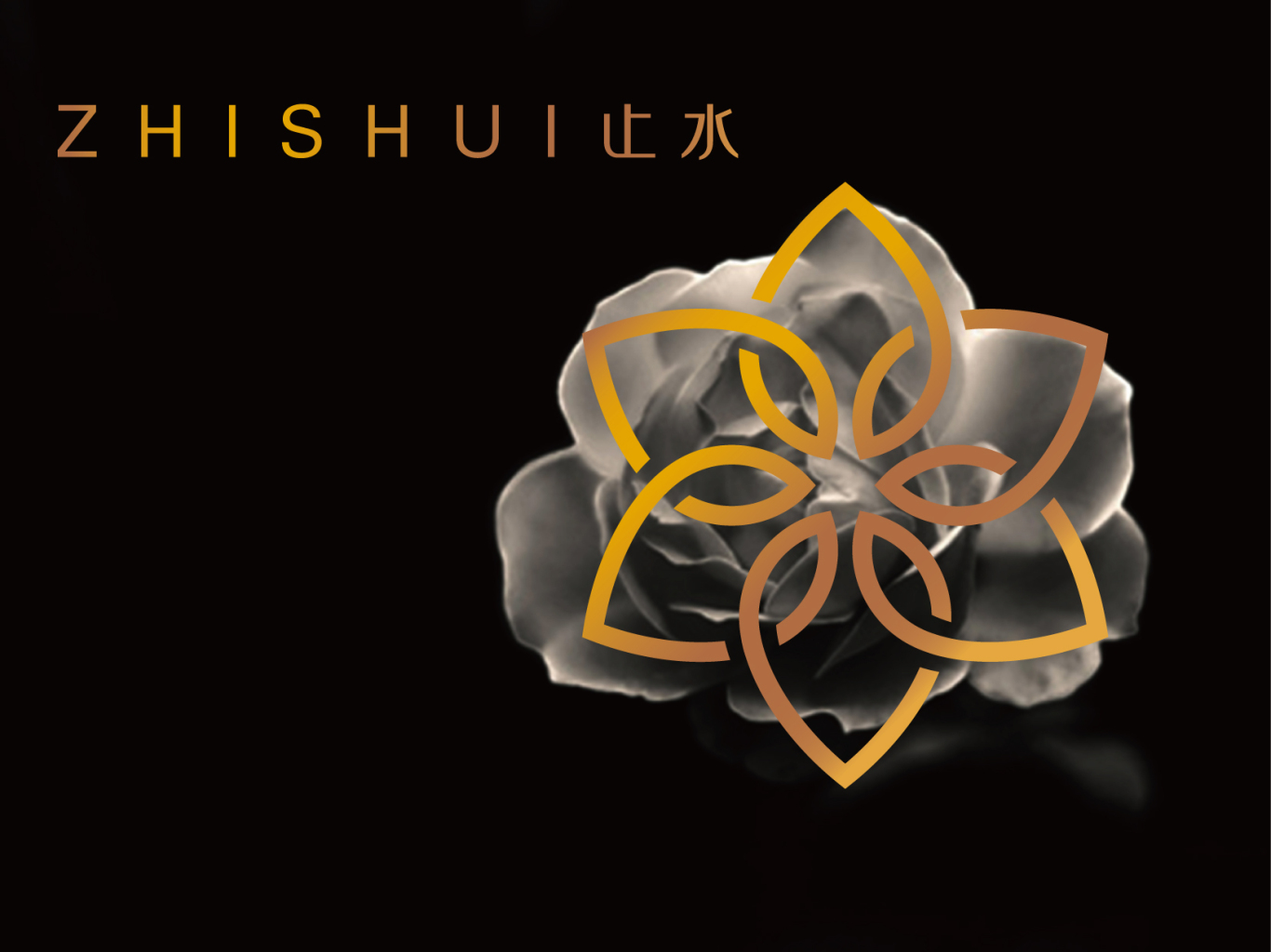 zhishui 品牌logo设计图4
