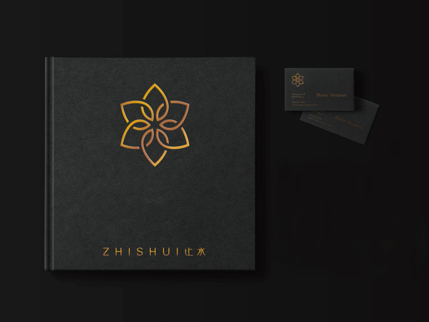 zhishui 品牌logo设计图5