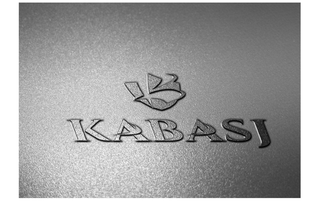 【LOGO设计】KaBasj安全优盘U盘logo设计图9