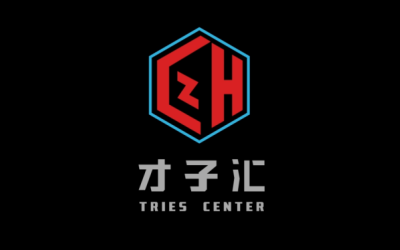 才子匯logo設計方案