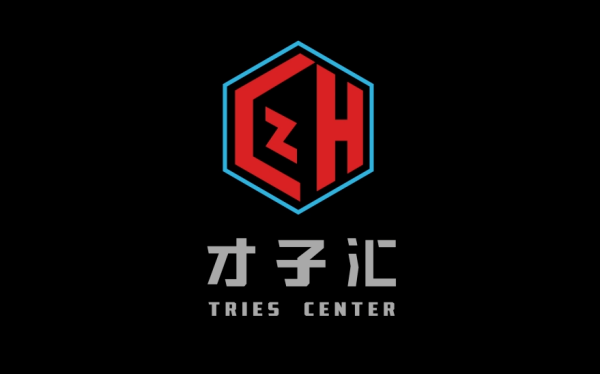 才子匯logo設計方案