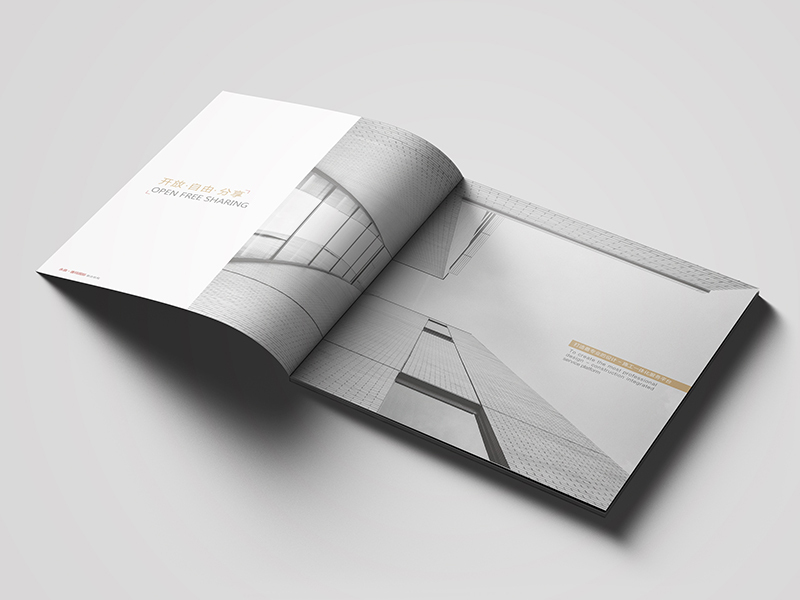 唐玛国际设计-企业画册设计图1