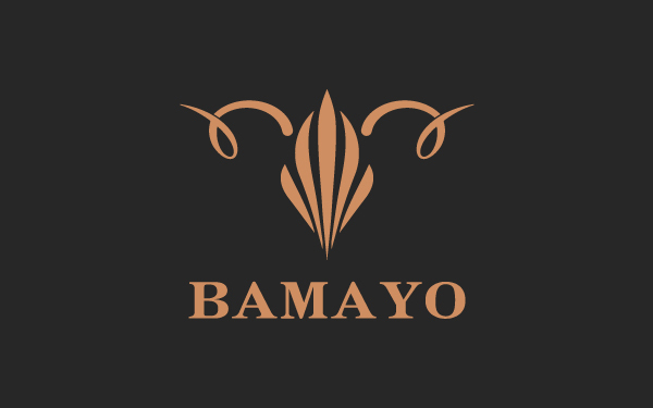 BAMAYO斑马羊品牌logo设计图5
