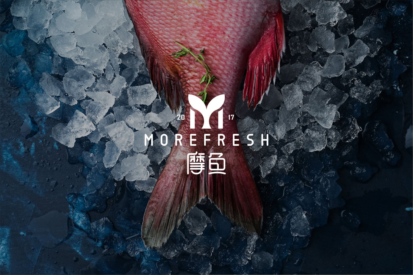 摩鱼| MOREFRESH | LOGO设计图0