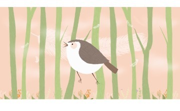 小鳥音響插畫設計
