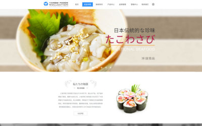 上海洋琪工貿股份有限公司網站設計及制作