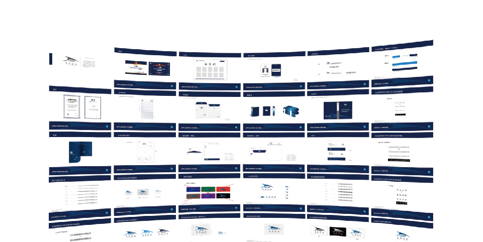 莱维游艇品牌设计 VI设计 展会画册网站设计图4