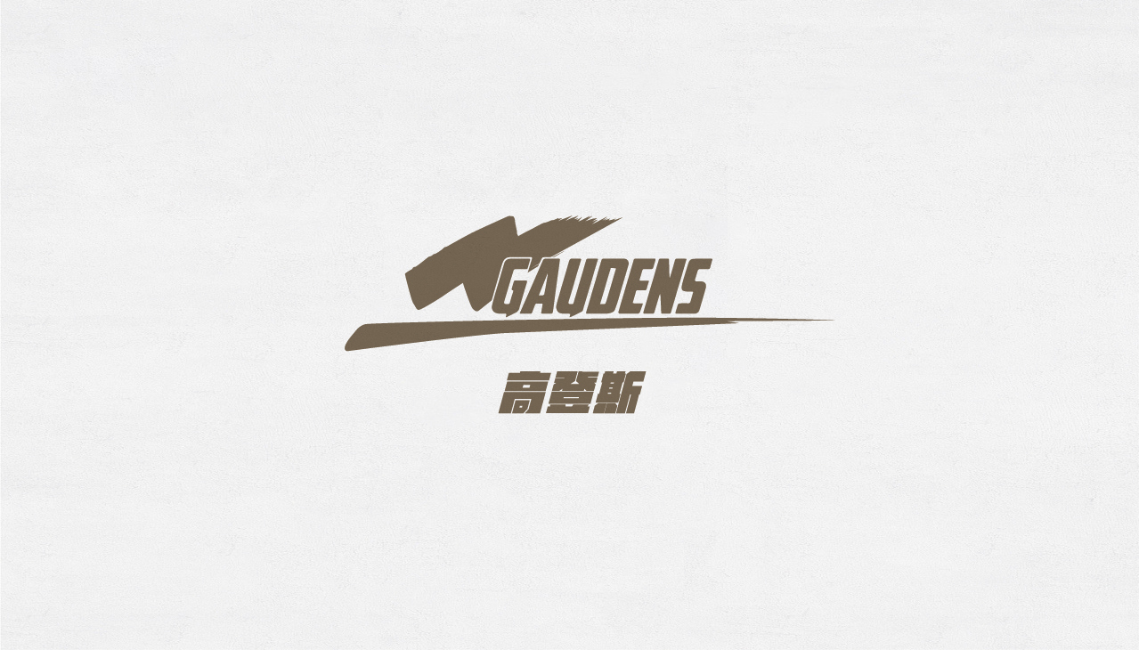高登斯logo设计图1