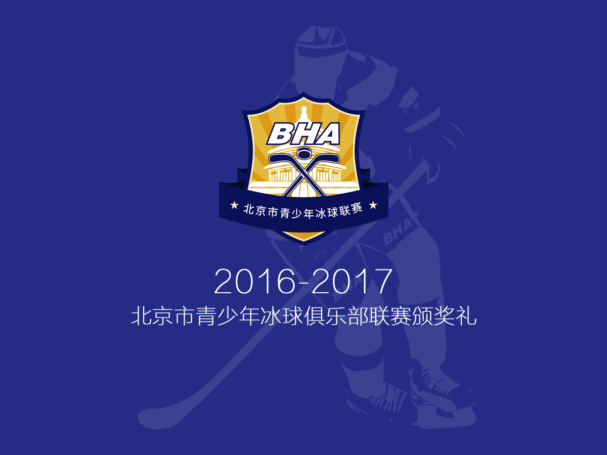 北京市西城区中小学生冰球联赛图3