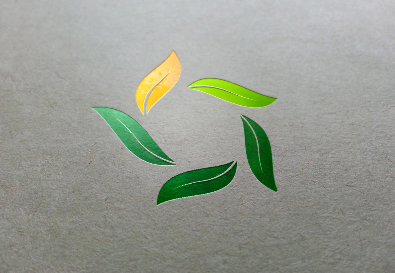 茶多分白茶品鉴中心logo设计图1