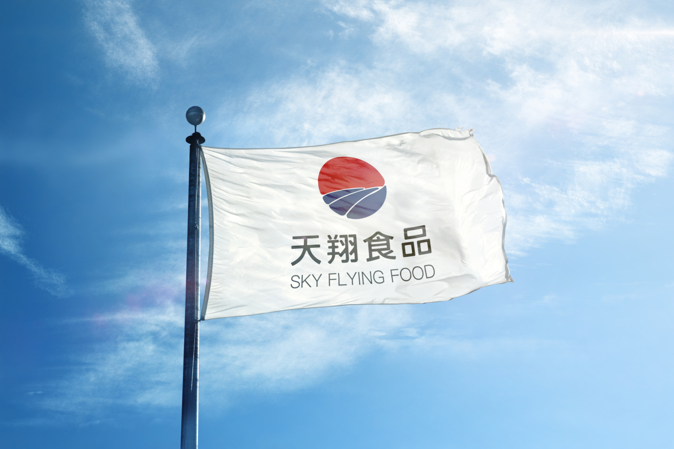 天翔食品logo设计图2