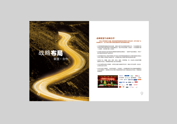 中国人寿经济论坛宣传画册图4
