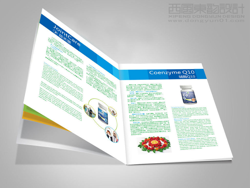 IVY 进口保健品产品宣传画册图2