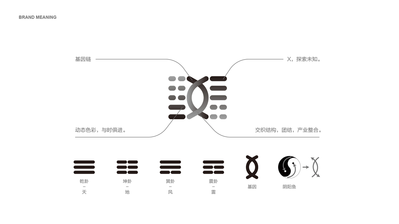 因答LOGO設(shè)計中標(biāo)圖0