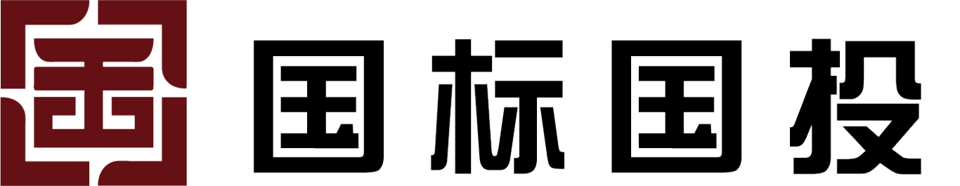 国标国投投资管理有限公司logo设计图1