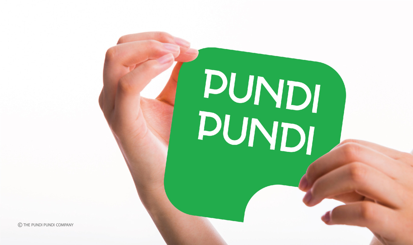 PUNDI PUNDI 电子钱包logo视觉形象设计图1