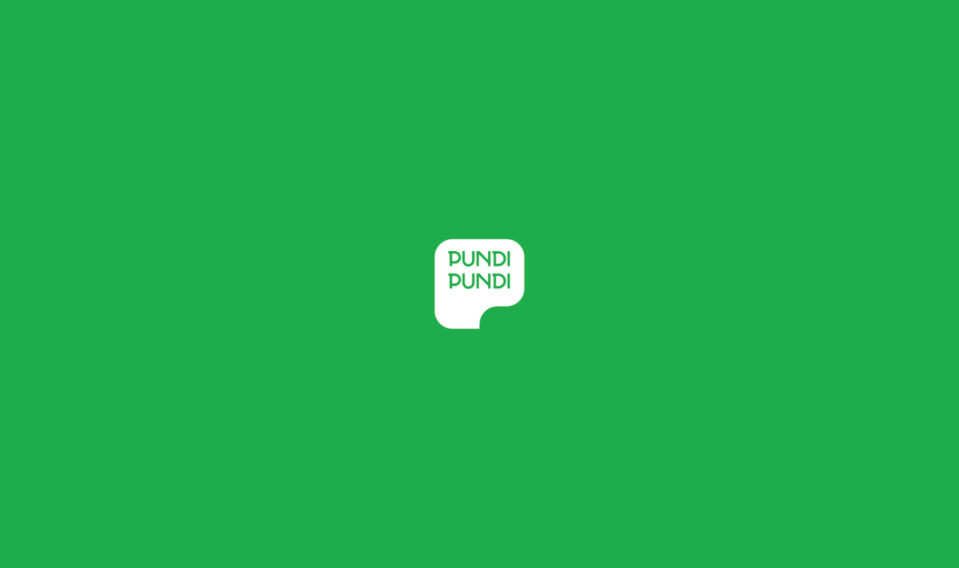 PUNDI PUNDI 电子钱包logo视觉形象设计图5