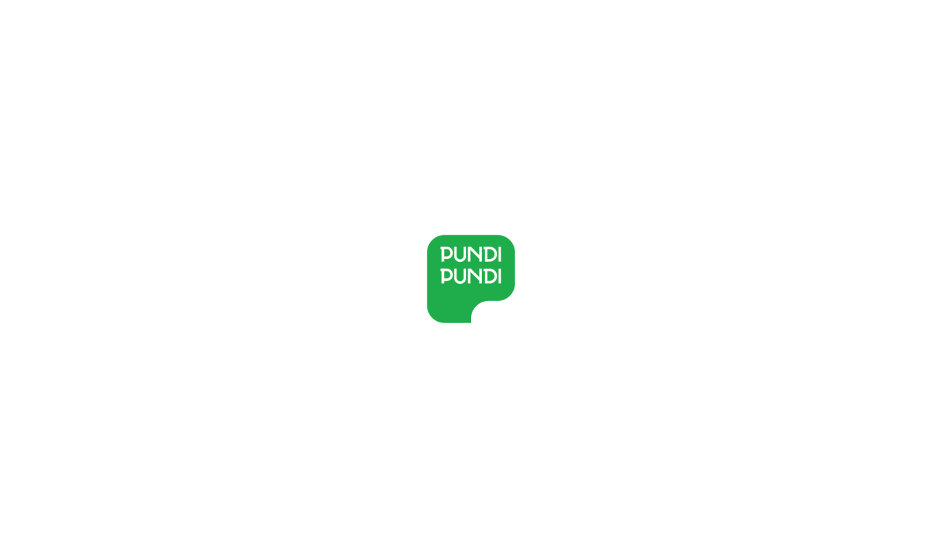 PUNDI PUNDI 电子钱包logo视觉形象设计图4