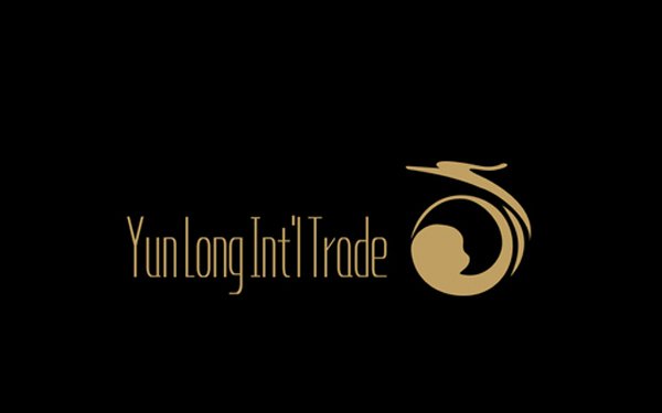 国际商贸公司logo设计图4