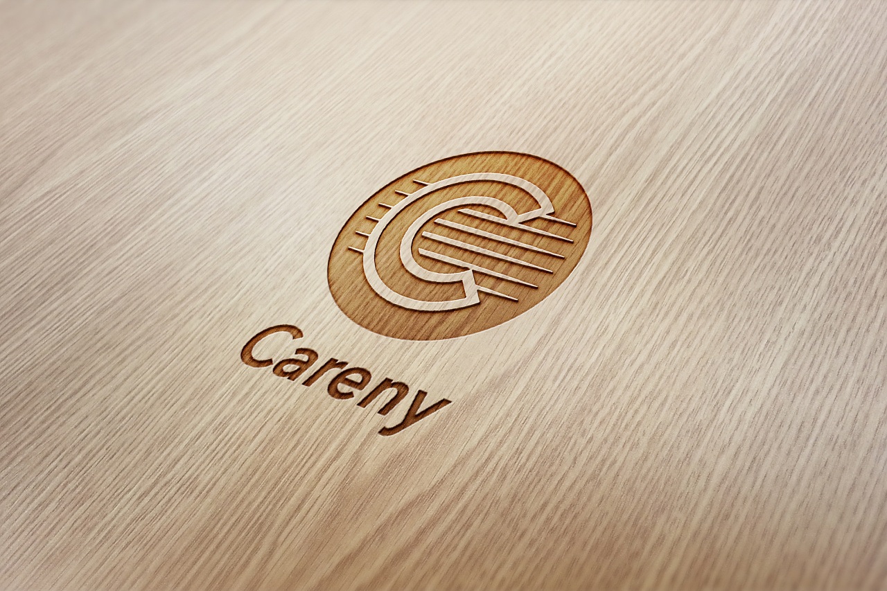 Careny吉他 logo设计图5