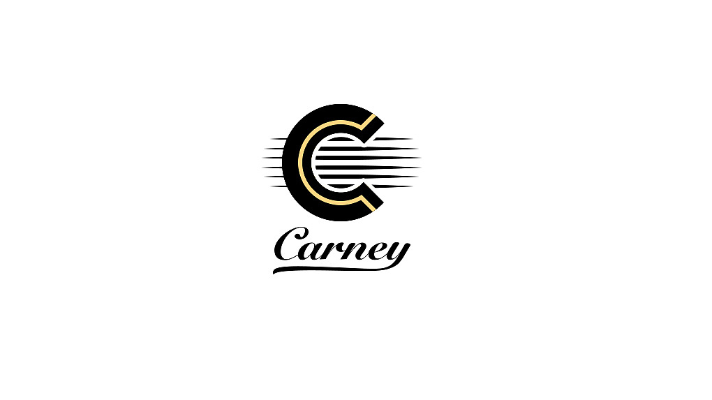 Careny吉他 logo设计图0