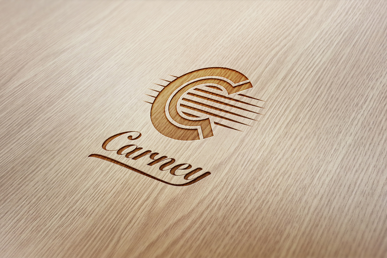 Careny吉他 logo设计图2