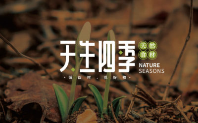 天生四季logo设计