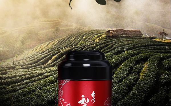 台湾高山茶-梨山茶