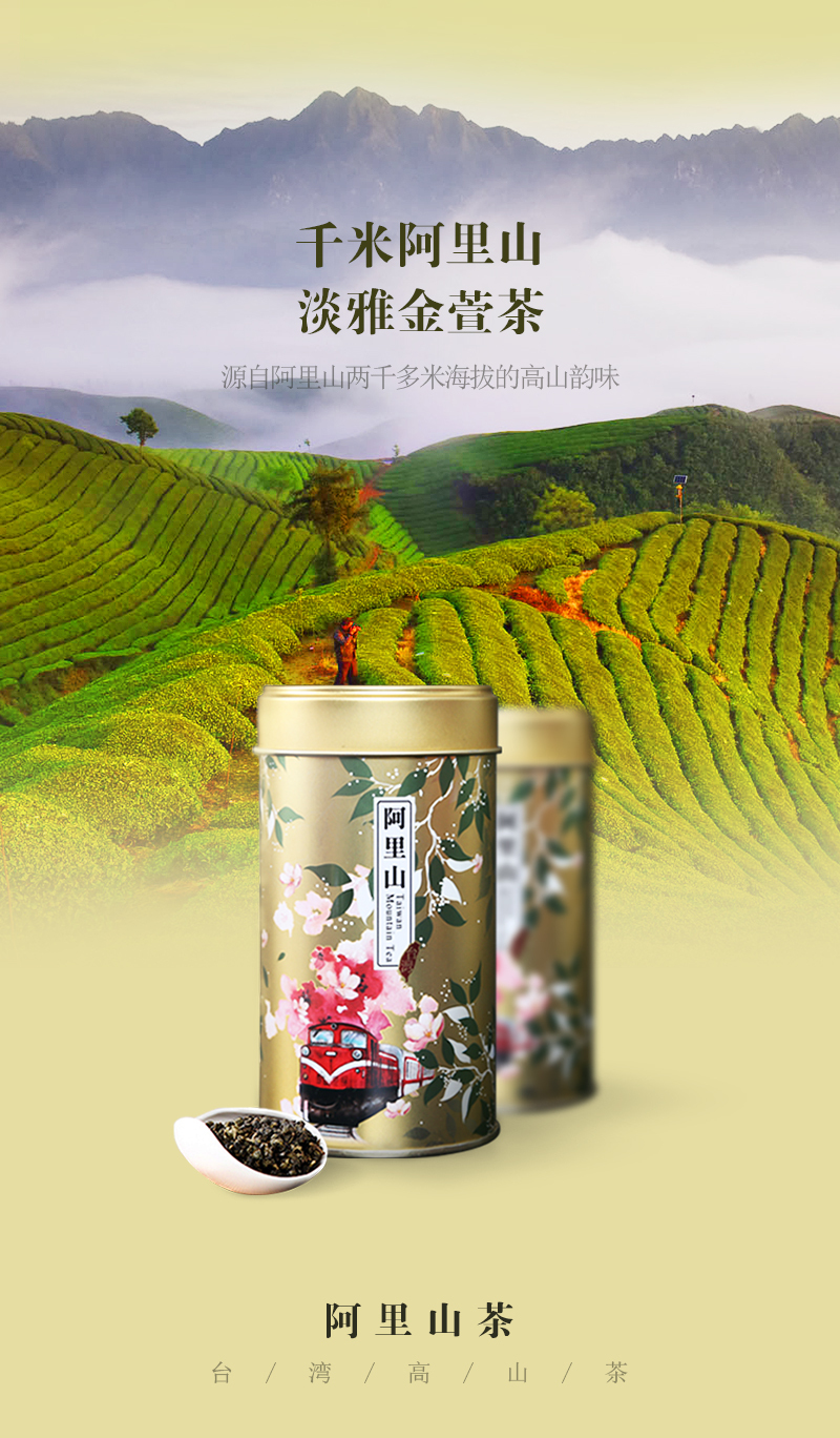 台湾高山茶-金萱图1