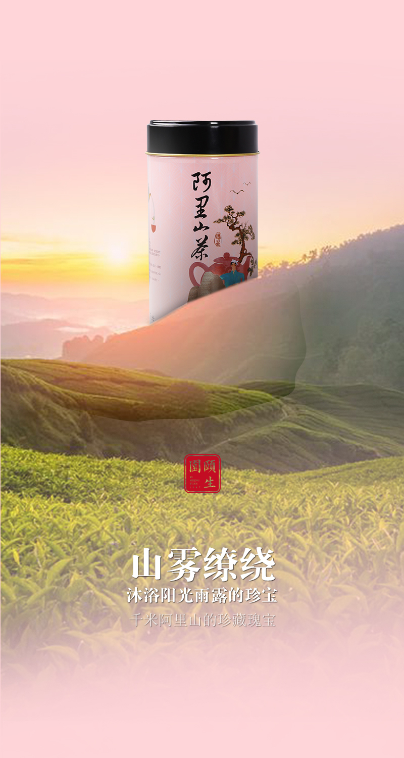 台湾高山茶-阿里山茶图7