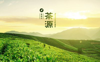 茶 电影 企业官网