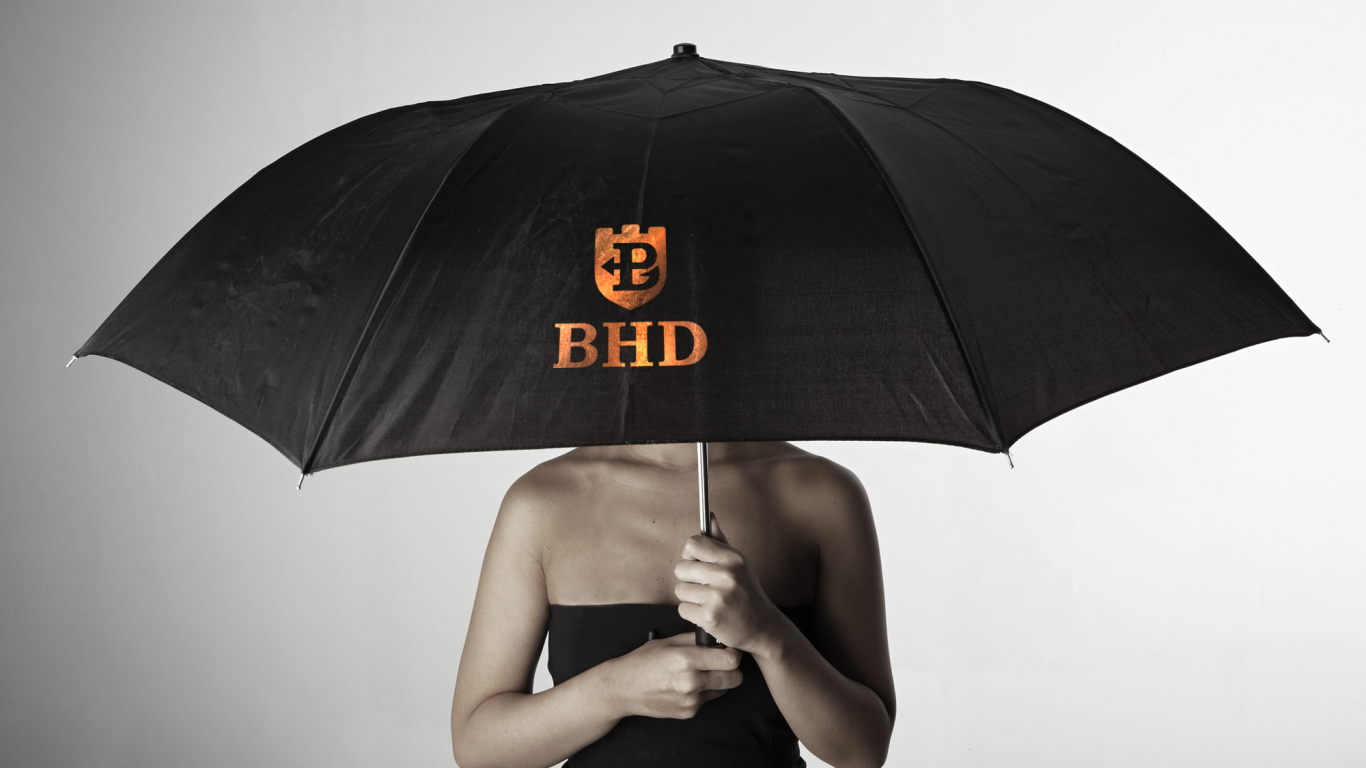 BHD标志设计图3