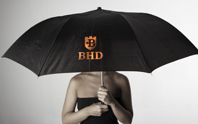 BHD標志設計