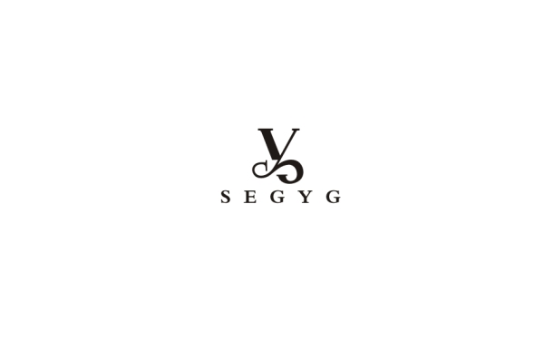 SY Logo设计